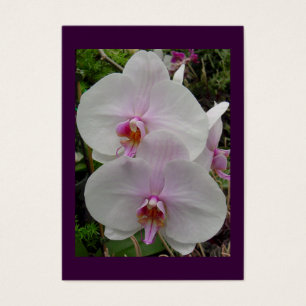 Cartes De Visite Orchidée - fleur rose (Colossians 2 : 3)