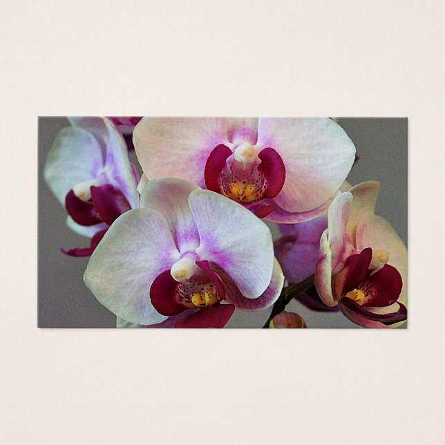Cartes De Visite Orchidée miniature (Devant)