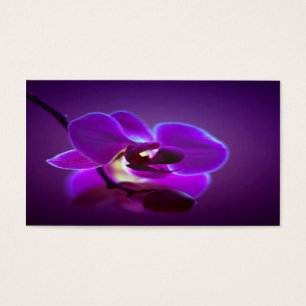 Cartes De Visite Orchidée pourpre