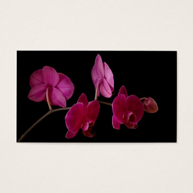 Cartes De Visite Orchidée rose Dendrobium sur Noir - Customisé (Devant)