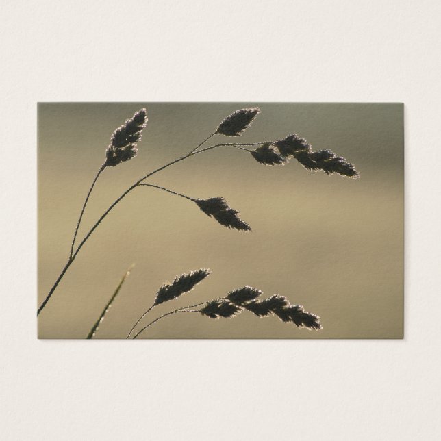 Cartes De Visite Oreille d'herbe humide (Devant)