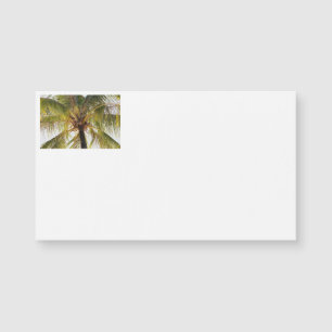 Cartes de visite Palm Tree