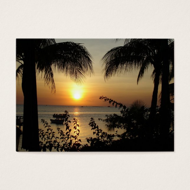 Cartes De Visite Paradis tropical (Devant)