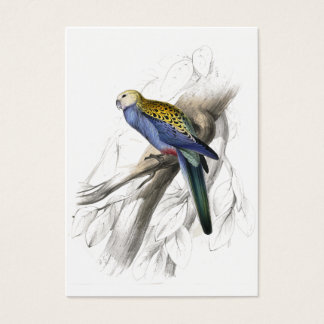Cartes De Visite Parrakeet à tête blanche par Edward Lear