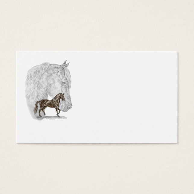 Cartes De Visite Paso Fino Cheval Art (Devant)
