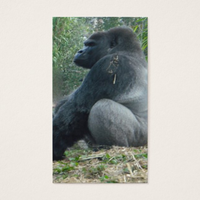 Cartes De Visite patron (Devant)