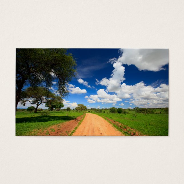 Cartes De Visite Paysage africain (Devant)