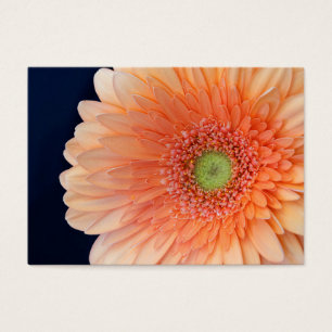 Cartes De Visite Peach Gerbera