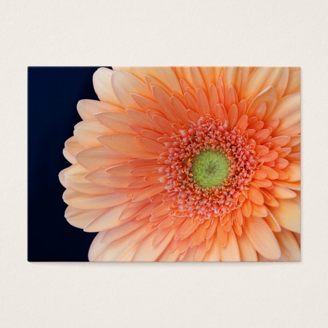 Cartes De Visite Peach Gerbera (Devant)