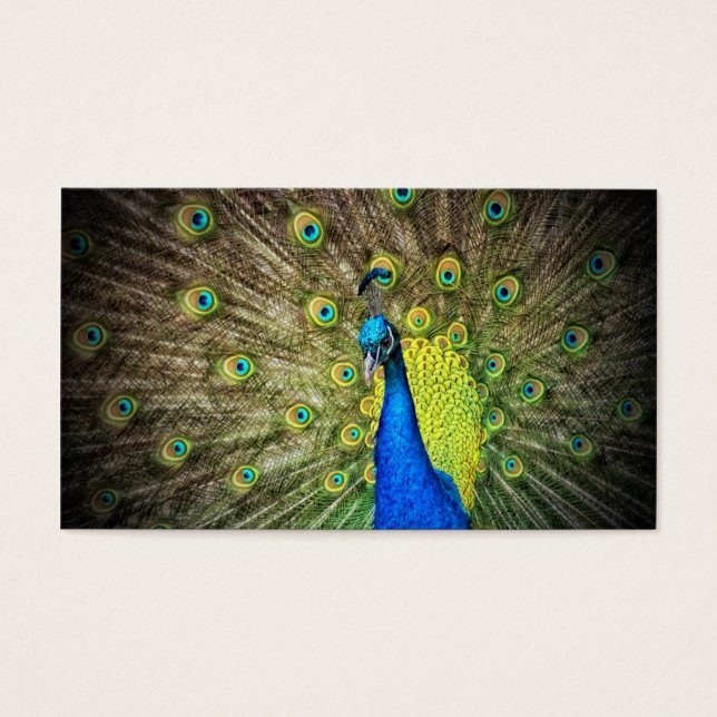 Cartes De Visite Peacock couleur beauté (Devant)
