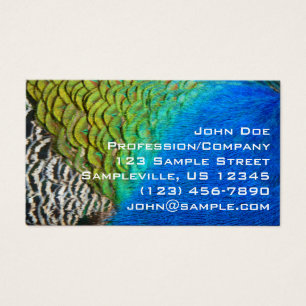 Cartes De Visite Peacock Feathers IV Colorful Abstrait Nature