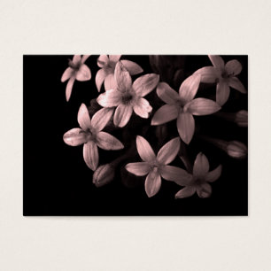 Cartes De Visite pentas rouge
