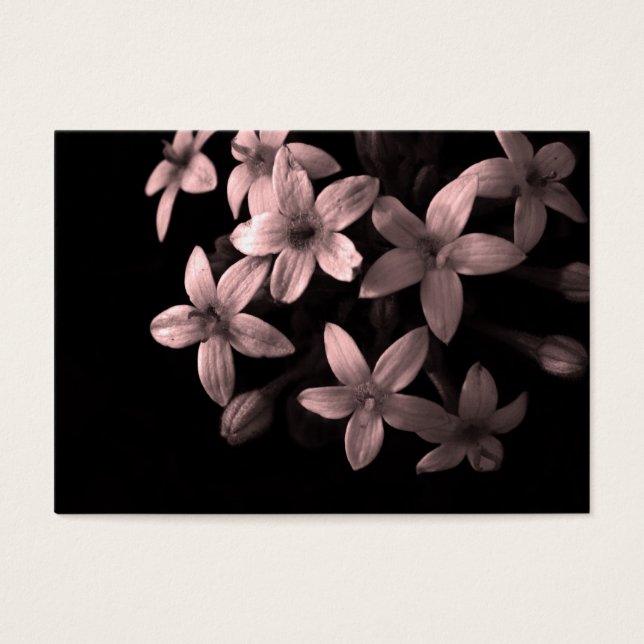 Cartes De Visite pentas rouge (Devant)