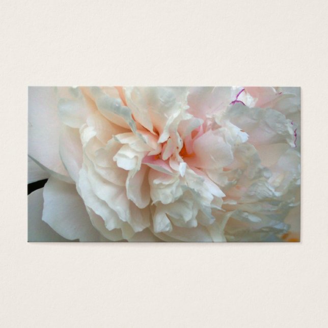 Cartes De Visite Peony (Devant)