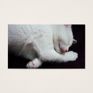CARTES DE VISITE PETIT SOMME DE KITTY