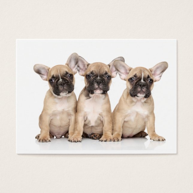 Cartes De Visite Petits Bulldogs français (Devant)