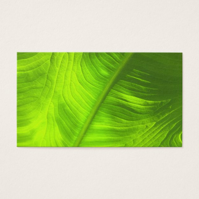 Cartes De Visite Photo de l'oreille d'éléphant Abstrait avec retour (Devant)