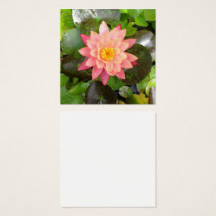 Cartes De Visite Photo nénuphar rose