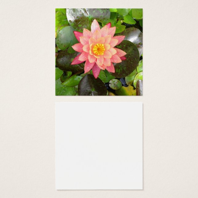 Cartes De Visite Photo nénuphar rose (Devant & derrière)