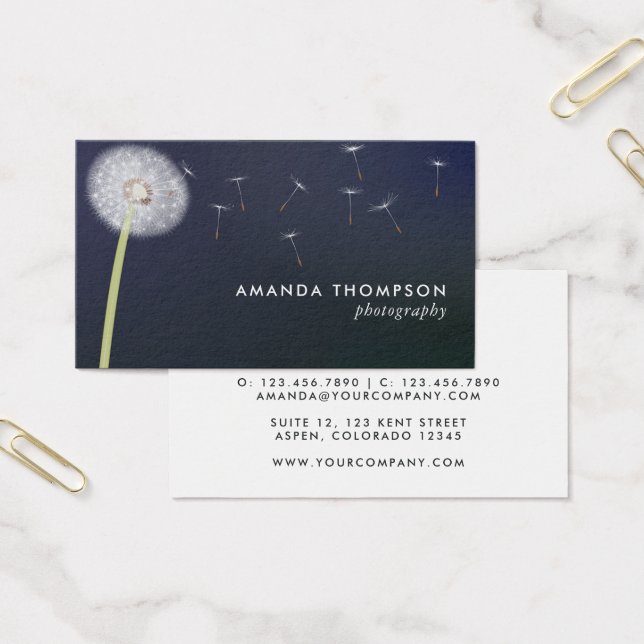 Cartes De Visite Photographe (Bureau)