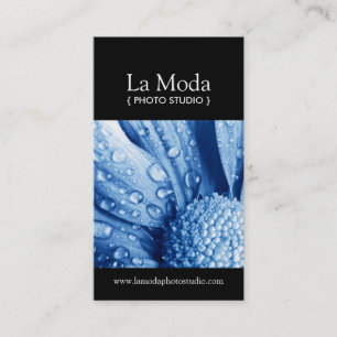 Cartes de visite photographes