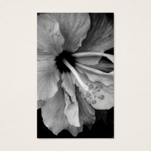 Cartes De Visite Photographie de fleur d'Hibiscus