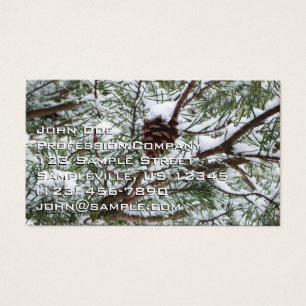 Cartes De Visite Photographie de la nature hivernale Cône de pin en