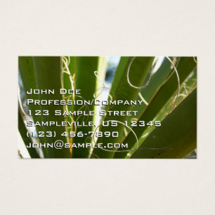 Cartes De Visite Photographie de la nature verte Feuille du Yucca