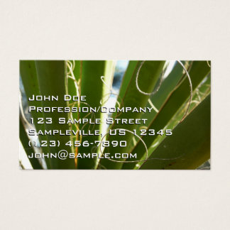 Cartes De Visite Photographie de la nature verte Feuille du Yucca