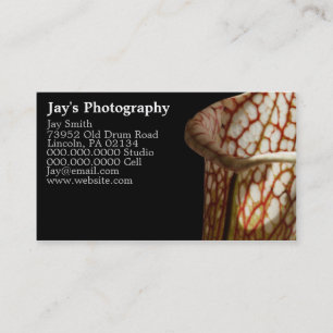 Cartes de visite photographiques uniques