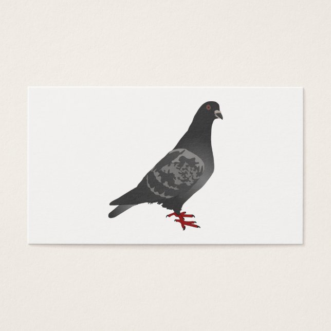 Cartes De Visite Pigeon (Devant)