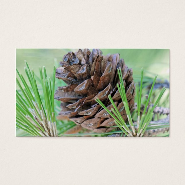 Cartes De Visite Pinecone (Devant)