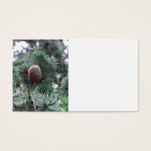 Cartes De Visite Pinecones