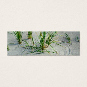 Cartes De Visite Plage de Great Lakes