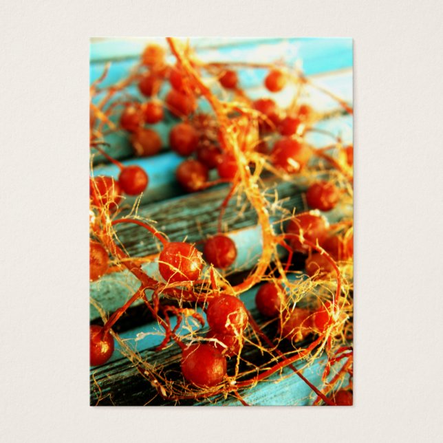 Cartes De Visite Plantes marines (Devant)