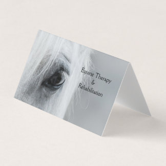 Cartes de visite pliées personnalisées Platinum Eq