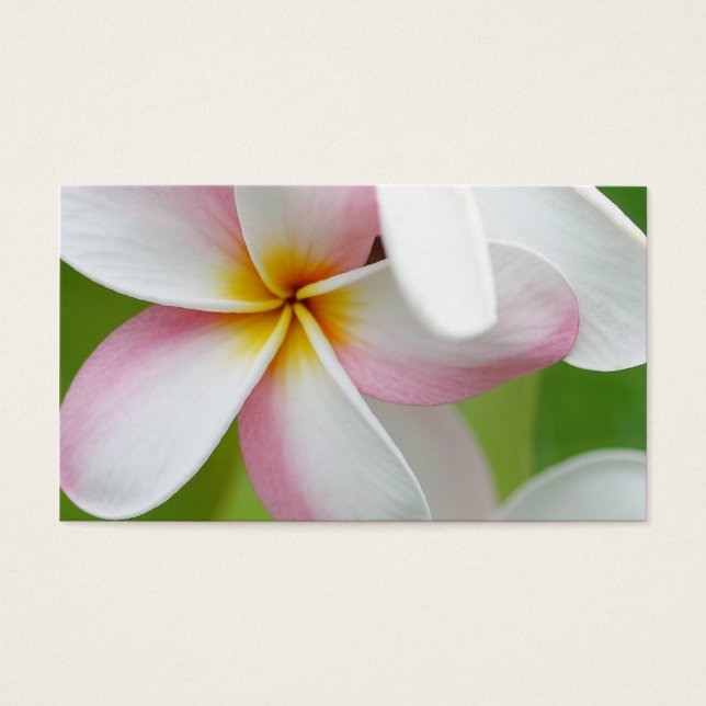Cartes De Visite Plumeria Frangipani Hawaii Flower Customized Blank (Devant)
