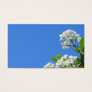 Cartes De Visite Plumeria hawaïen