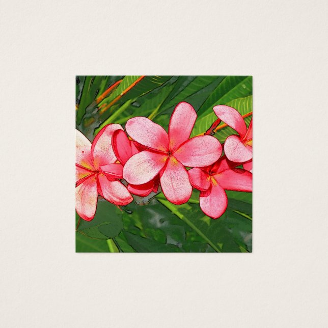 Cartes De Visite Plumerias rose (Devant)