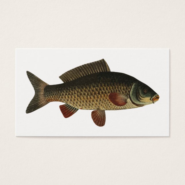 Cartes De Visite Poisson (Devant)