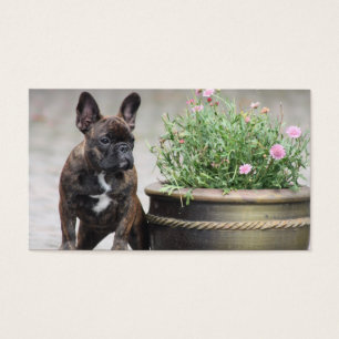 Cartes De Visite Pot de fleurs Bouledogue Français
