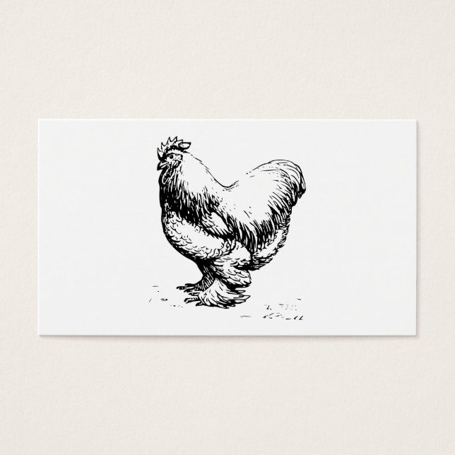 Cartes De Visite Poulet de Cochin (Devant)