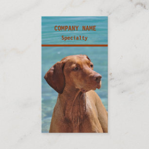 Cartes de visite pour chiens Magyar Vizsla