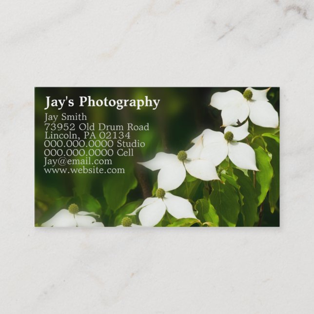 cartes de visite pour photographes (Devant)