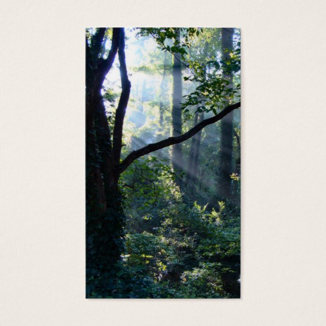 Cartes De Visite Premier Signet (Devant)