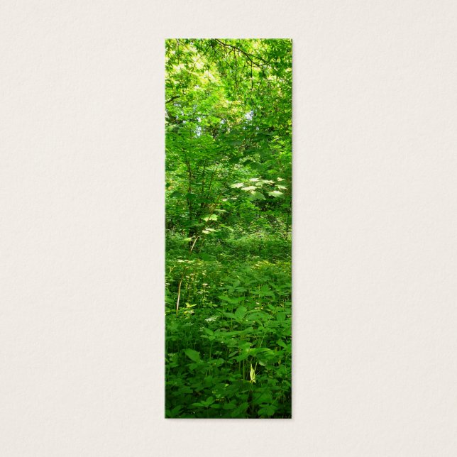 Cartes De Visite Printemps dans le Signet des bois (Devant)