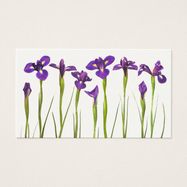 Cartes De Visite Purple Irises - Iris Flower Customisé Modèle (Devant)