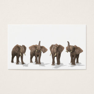 Cartes De Visite Quartet des éléphants