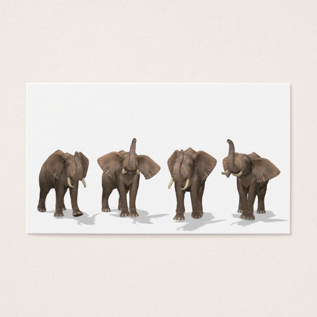 Cartes De Visite Quartet des éléphants (Devant)
