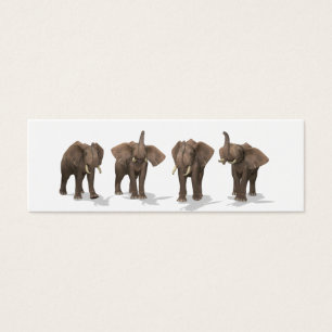 Cartes De Visite Quartet des éléphants